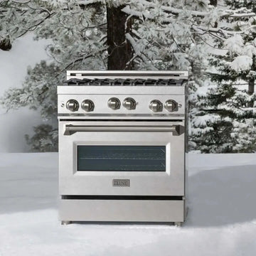 Stainless steel ZLINE gas range standing outdoors in a snowy Lake Tahoe forest setting.