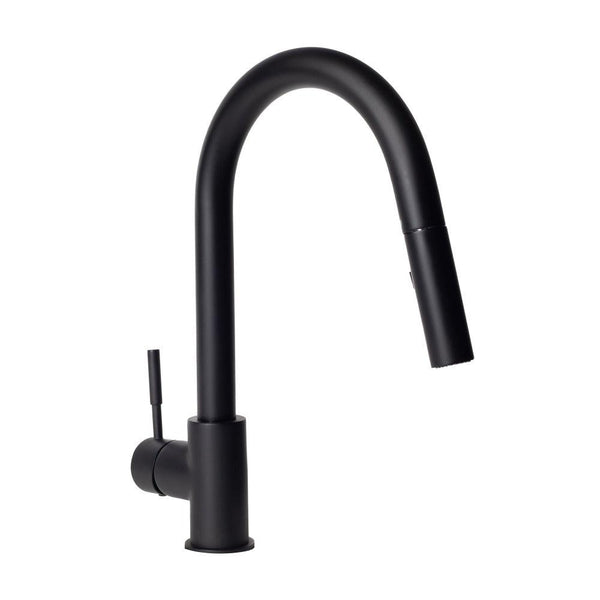 Autograph Edition Gemini Pull Down Kitchen Faucet in Matte Black