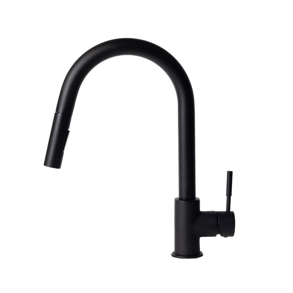 Gemini Pull Down Single Handle Kitchen Faucet in Matte Black (GEM