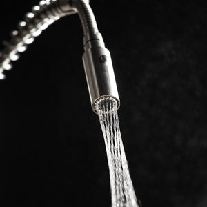 ZLINE Voltaire Pull Down Single Handle Kitchen Faucet in Matte Black (VLT-KF-MB) HPAS system