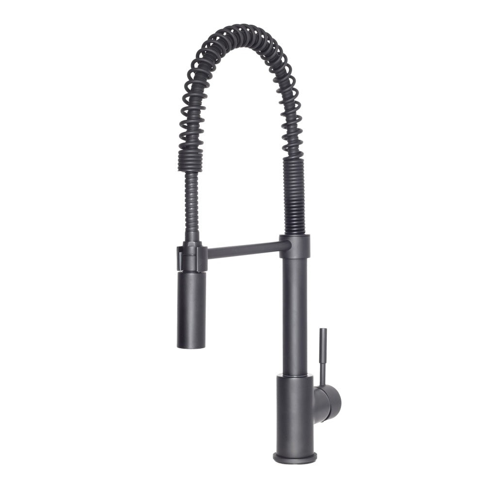 Sierra Pull Down Spring Single Handle Kitchen Faucet in Matte