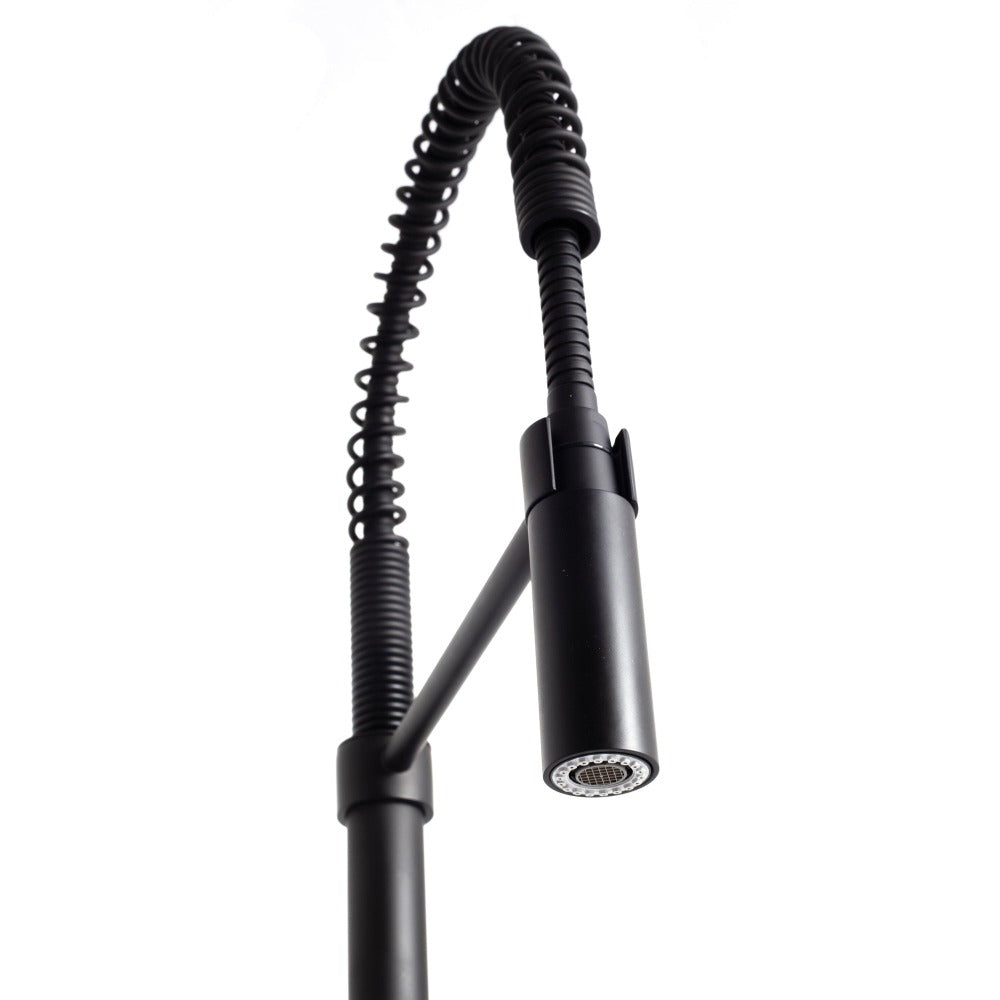 Autograph Edition Sierra Kitchen Faucet in Matte Black (SRA-KF-MB
