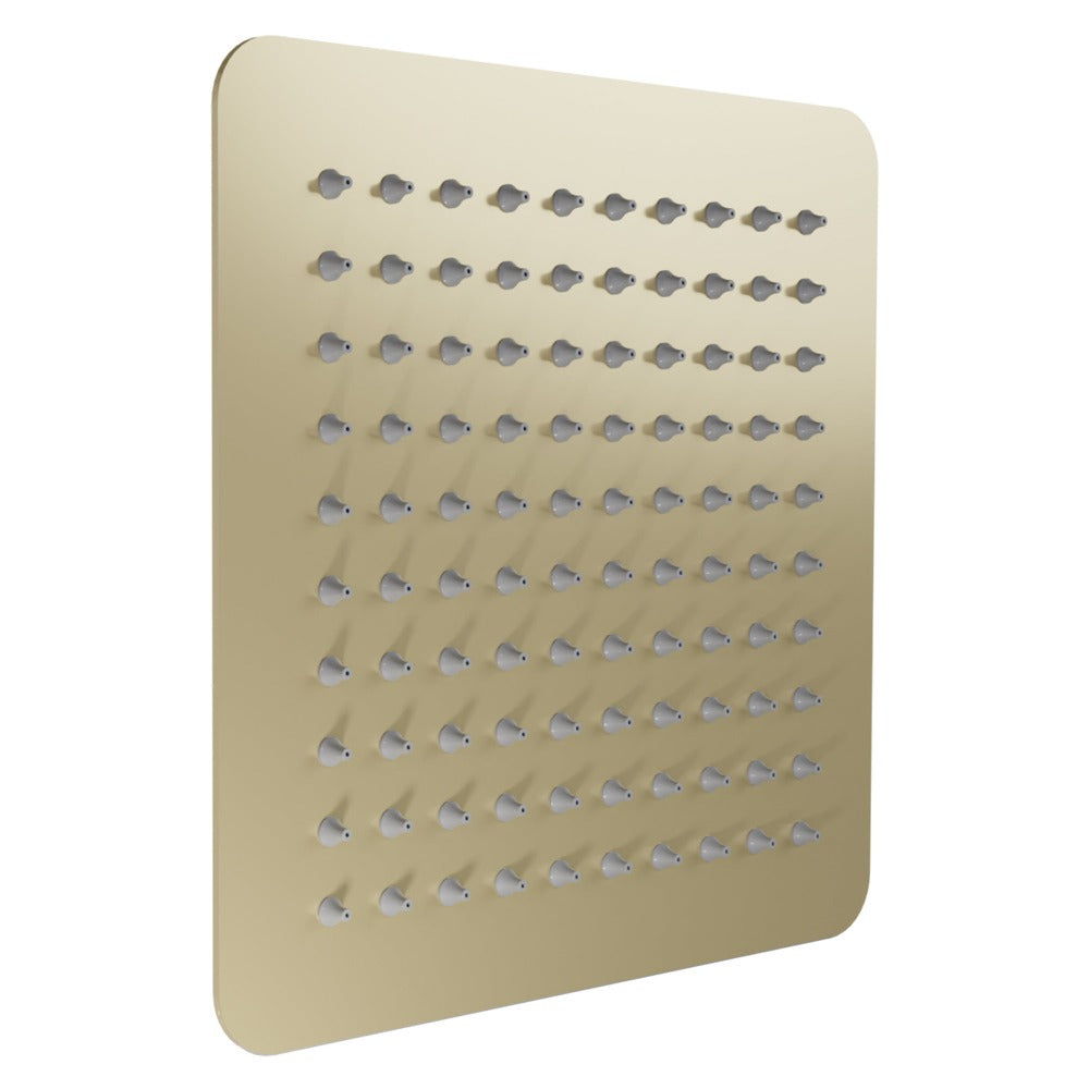 ZLINE Bliss 12 in. Rainfall Shower Head in Champagne Bronze (BLS-H12-CB)