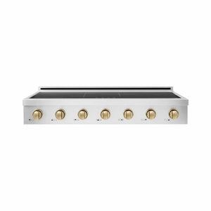 ZLINE Autograph Edition 48 in. Paramount Induction Rangetop with 7 Element Cooktop in Stainless Steel and Champagne Bronze Accents (SINRTZ-48-CB) main image.
