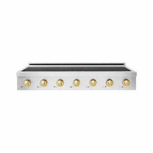 ZLINE Autograph Edition 48 in. Paramount Induction Rangetop with 7 Element Cooktop in Stainless Steel and Polished Gold Accents (SINRTZ-48-G) main image.