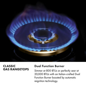 Classic Gas Rangetops Infographic. Image: Gas Burner with Blue Flame. Text: Dual Function Burner. Simmer at 800 BTUs or perfectly sear at 20,000 BTUs with an Italian-crafted Dual Function Burner boosted by automatic reignition technology.