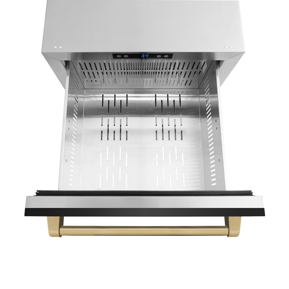 ZLINE Autograph Edition 24 in. Touchstone 168 Can Outdoor-Rated Dual Refrigerator Drawer with Black Stainless Steel Doors and Champagne Bronze Handles (RDSOZ-BS-24-CB)