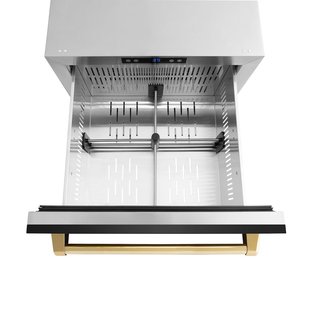 ZLINE Autograph Edition 24 in. Touchstone 168 Can Outdoor-Rated Dual Refrigerator Drawer with Black Stainless Steel Doors and Polished Gold Handles (RDSOZ-BS-24-G)