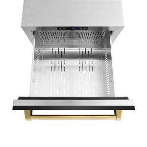 ZLINE Autograph Edition 24 in. Touchstone 168 Can Outdoor-Rated Dual Refrigerator Drawer with Black Stainless Steel Doors and Polished Gold Handles (RDSOZ-BS-24-G)