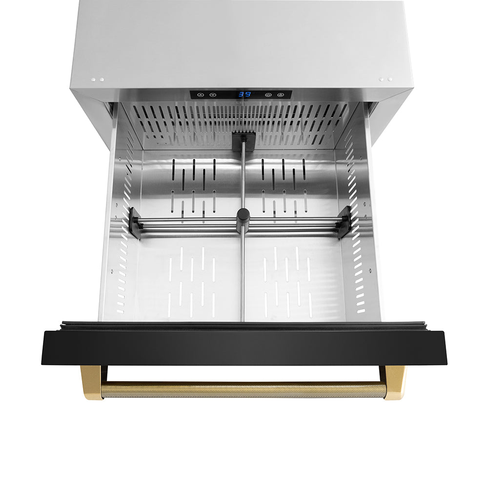 ZLINE Autograph Edition 24 in. Touchstone 168 Can Outdoor-Rated Dual Refrigerator Drawer with Black Stainless Steel Doors and Polished Gold Helix Handles (RDSOZ-BS-24-KG) drawer from above with divider.