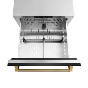 ZLINE Autograph Edition 24 in. Touchstone 168 Can Outdoor-Rated Dual Refrigerator Drawer with Black Stainless Steel Doors and Polished Gold Helix Handles (RDSOZ-BS-24-KG)