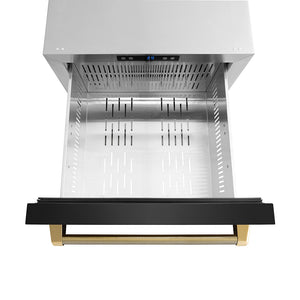 ZLINE Autograph Edition 24 in. Touchstone 168 Can Outdoor-Rated Dual Refrigerator Drawer with Black Stainless Steel Doors and Polished Gold Helix Handles (RDSOZ-BS-24-KG) drawer from above with no divider.