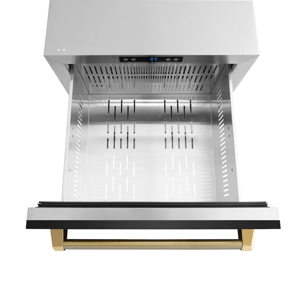 ZLINE Autograph Edition 24 in. Touchstone 168 Can Outdoor-Rated Dual Refrigerator Drawer with Black Stainless Steel Doors and Polished Gold Helix Handles (RDSOZ-BS-24-KG)