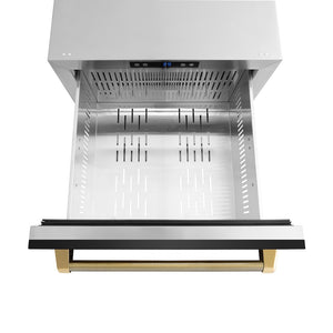 ZLINE Autograph Edition 24 in. Touchstone 168 Can Outdoor-Rated Dual Refrigerator Drawer with Black Stainless Steel Doors and Polished Gold Helix Handles (RDSOZ-BS-24-KG)