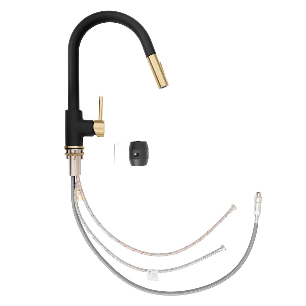 Autograph Edition Gemini Kitchen Faucet in Matte Black/Champagne