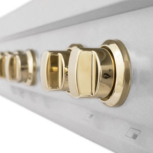 ZLINE Autograph Edition 36 in. Legacy Gas Rangetop with 6 Burners and Porcelain Cooktop in Satin Stainless Steel with Polished Gold Accents (RTSZ-36-G) above.