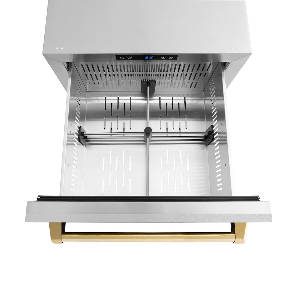 ZLINE Autograph Edition 24 in. Touchstone 168 Can Outdoor-Rated Dual Refrigerator Drawer with Satin Stainless Steel Doors and Polished Gold Handles (RDSOZ-SN-24-G)