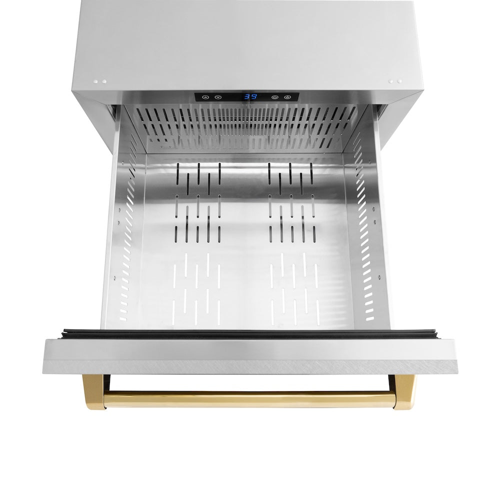 ZLINE Autograph Edition 24 in. Touchstone 168 Can Outdoor-Rated Dual Refrigerator Drawer with Satin Stainless Steel Doors and Polished Gold Handles (RDSOZ-SN-24-G)