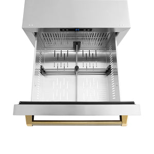 ZLINE Autograph Edition 24 in. Touchstone 168 Can Outdoor-Rated Dual Refrigerator Drawer with Stainless Steel Doors and Polished Gold Helix Handles (RDSOZ-ST-24-KG) drawer from above with divider.