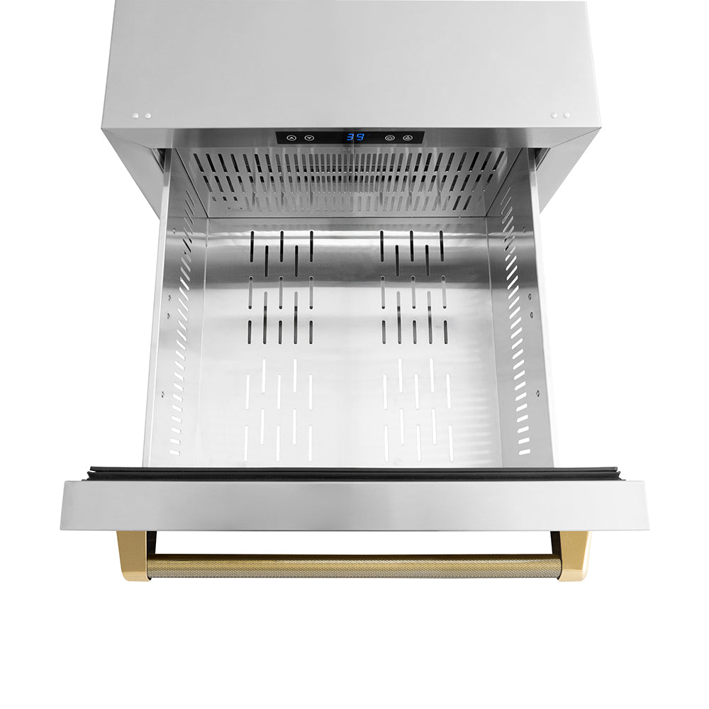 ZLINE Autograph Edition 24 in. Touchstone 168 Can Outdoor-Rated Dual Refrigerator Drawer with Stainless Steel Doors and Polished Gold Helix Handles (RDSOZ-ST-24-KG) drawer from above with no divider.