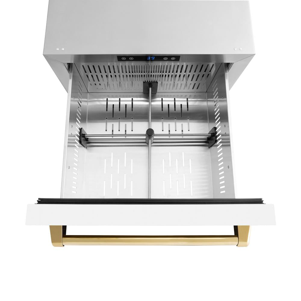 ZLINE Autograph Edition 24 in. Touchstone 168 Can Outdoor-Rated Dual Refrigerator Drawer with White Matte Doors and Polished Gold Handles (RDSOZ-WM-24-G) above, drawer open, with drawer divider installed.