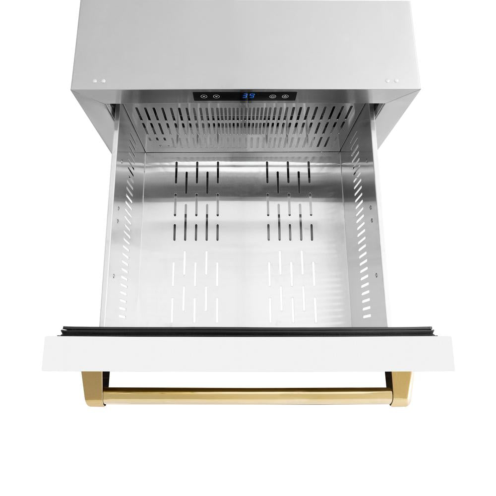ZLINE Autograph Edition 24 in. Touchstone 168 Can Outdoor-Rated Dual Refrigerator Drawer with White Matte Doors and Polished Gold Handles (RDSOZ-WM-24-G) above, drawer open, with drawer divider removed.