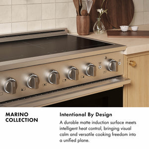 ZLINE 24 in. 3.2 cu. ft. Marino Induction Range with 3 Element Cooktop and Electric Convection Oven in Satin Stainless Steel (MINRS-24)