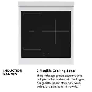 ZLINE Autograph Edition 24 in. 3.2 cu. ft. Paramount Induction Range with 3 Element Cooktop and Electric Convection Oven in Satin Stainless Steel with White Matte Door and Polished Gold Accents (SINRSZ-WM-24-G)