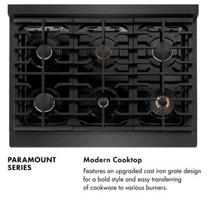 Paramount Series Infographic. Modern Cooktop. Text: Features an upgraded cast iron grate design for a bold style and easy transferring of cookware to various burners.