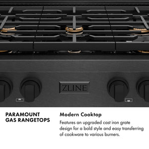 Paramount Series Infographic. Modern Cooktop. Text: Features an upgraded cast iron grate design for a bold style and easy transferring of cookware to various burners.