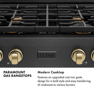 Paramount Series Infographic. Modern Cooktop. Text: Features an upgraded cast iron grate design for a bold style and easy transferring of cookware to various burners.