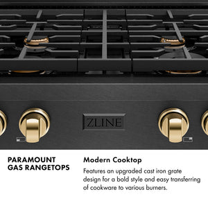 Paramount Series Infographic. Modern Cooktop. Text: Features an upgraded cast iron grate design for a bold style and easy transferring of cookware to various burners.