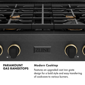 Paramount Series Infographic. Modern Cooktop. Text: Features an upgraded cast iron grate design for a bold style and easy transferring of cookware to various burners.