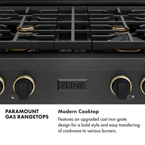 Paramount Series Infographic. Modern Cooktop. Text: Features an upgraded cast iron grate design for a bold style and easy transferring of cookware to various burners.