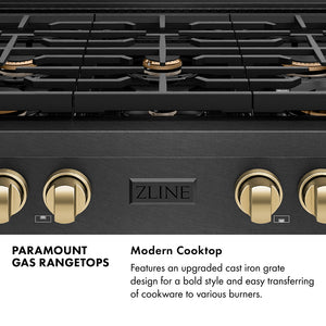Paramount Series Infographic. Modern Cooktop. Text: Features an upgraded cast iron grate design for a bold style and easy transferring of cookware to various burners.