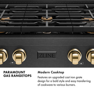 Paramount Series Infographic. Modern Cooktop. Text: Features an upgraded cast iron grate design for a bold style and easy transferring of cookware to various burners.