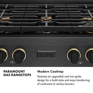 Paramount Series Infographic. Modern Cooktop. Text: Features an upgraded cast iron grate design for a bold style and easy transferring of cookware to various burners.