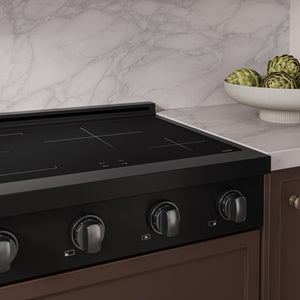ZLINE 30 in. Paramount Induction Rangetop with 4 Element Cooktop in Black Stainless Steel (SINRTB-30)
