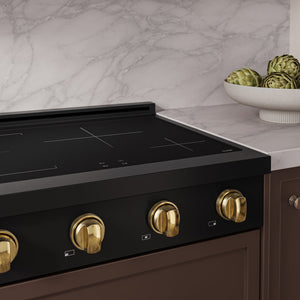 ZLINE Autograph Edition 30 in. Paramount Induction Rangetop with 4 Element Cooktop in Black Stainless Steel and Polished Gold Accents (SINRTBZ-30-G)