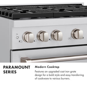 Paramount Series Infographic. Image: Cooktop with grates. Text: Modern Cooktop. Features an upgraded cast iron grate design for a bold style and easy transferring of cookware to various burners.