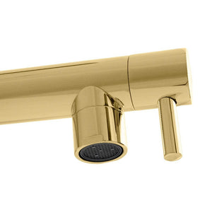 ZLINE Van Gogh Pull Down Spring Kitchen Faucet with Pot Filler in Polished Gold (VNG-KF-PG) pot filler spout and handle.