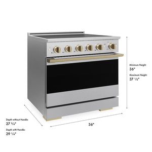 ZLINE Autograph Edition 36 in. 5.2 cu. ft. Marino Induction Range with 5 Element Cooktop and Electric Convection Oven in Satin Stainless Steel with Champagne Bronze Accents (MINRSZ-36-CB)