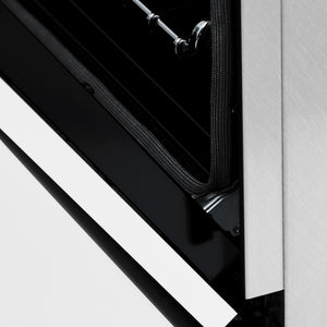 ZLINE 24 in. 2.8 cu. ft. Legacy Dual Fuel Range with 4 Burner Gas Cooktop and Electric Convection Oven in Satin Stainless Steel and White Matte Door (RAS-WM-24) detail, StayPut hinge.