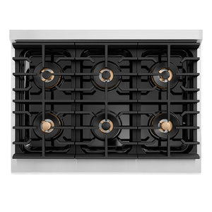 ZLINE 36 in. 5.2 cu. ft. Paramount Gas Range with 6 Burner DuoPro™ Cooktop and Convection Gas Oven in Stainless Steel (PSGR36)