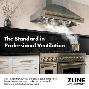 ZLINE range hood infographic. Image: ZLINE range hood in a kitchen ventilating a large cooktop. Text: The Standard in Professional Ventilation. Built on more that 20 years of expertise, ZLINE Range Hoods feature high-velocity motors back by the industry-first lifetime warranty that defined our brand.