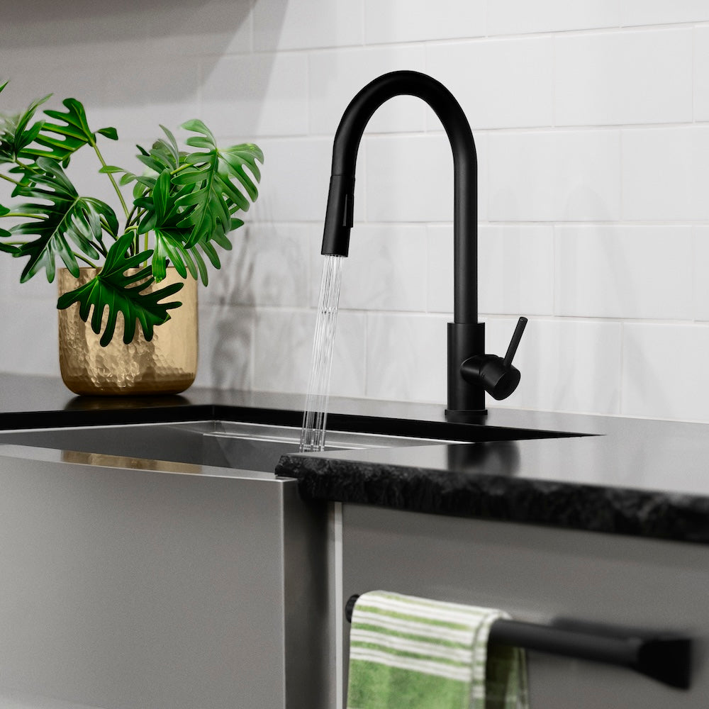 Palisades Pull Down Kitchen Faucet in Matte Black (RBCN1-KF-MB