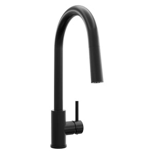 ZLINE Palisades Pull Down Single Handle Kitchen Faucet in Matte Black (RBCN1-KF-MB)