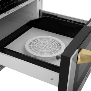 ZLINE Autograph Edition 24 in. 1.2 cu. ft. Built-in Microwave Drawer with a Traditional Handle in Satin Stainless Steel and Polished Gold Accents (MWDZ-1-SS-H-G) defrosting plate.