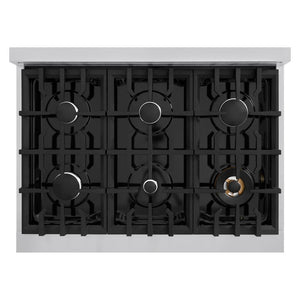 ZLINE 36 in. 5.2 cu. ft. Select Dual Fuel Range with 6 Burner Gas Cooktop and Electric Convection Oven in Stainless Steel (HDR36) top-down, above cooktop.