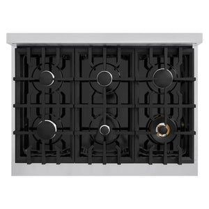 ZLINE 36 in. 5.2 cu. ft. Select Gas Range with 6 Burner Cooktop and Convection Gas Oven in Stainless Steel (HGR36) top-down, above cooktop.